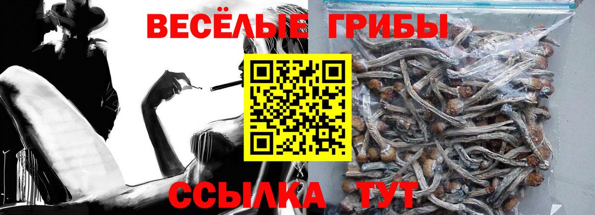 Галлюциногенные грибы мицелий  Вход с VPN  Симферополь 
